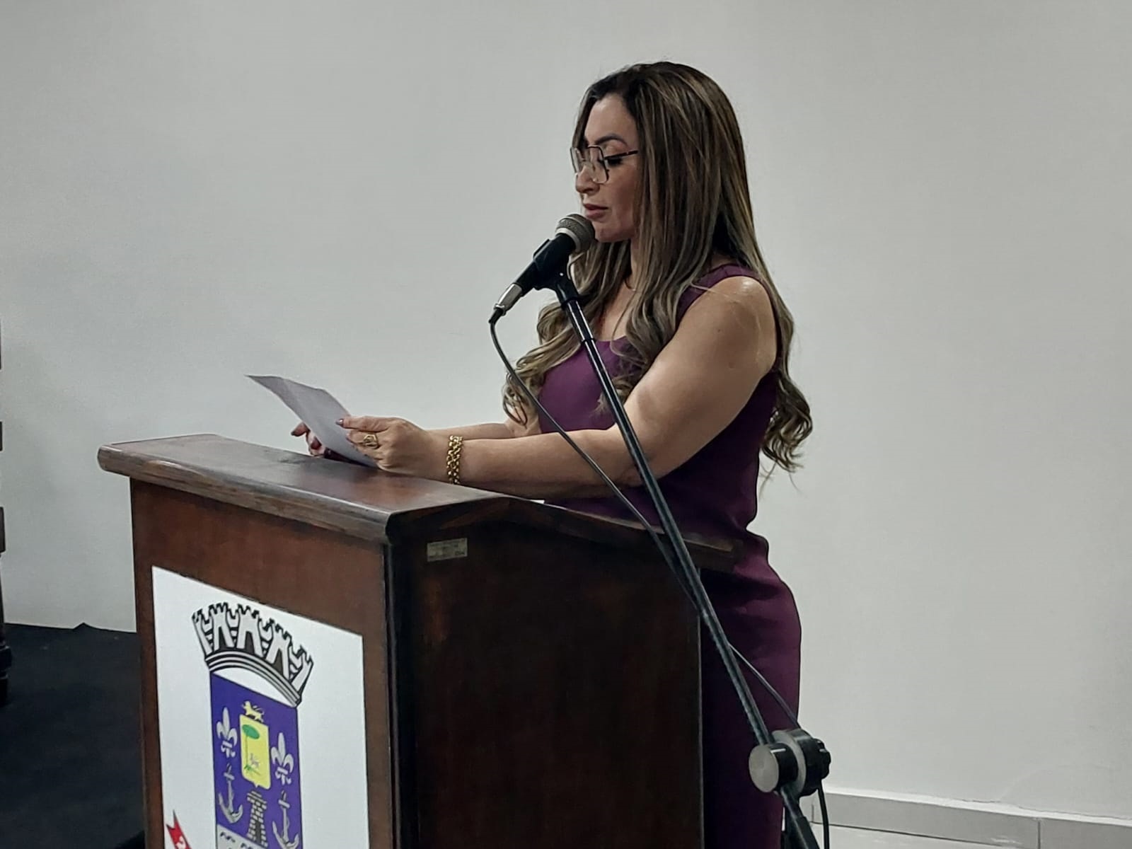 VEREADORA JOSIANE BRAGA APRESENTA PROJETO DE DECRETO LEGISLATIVO Nº 14/2025