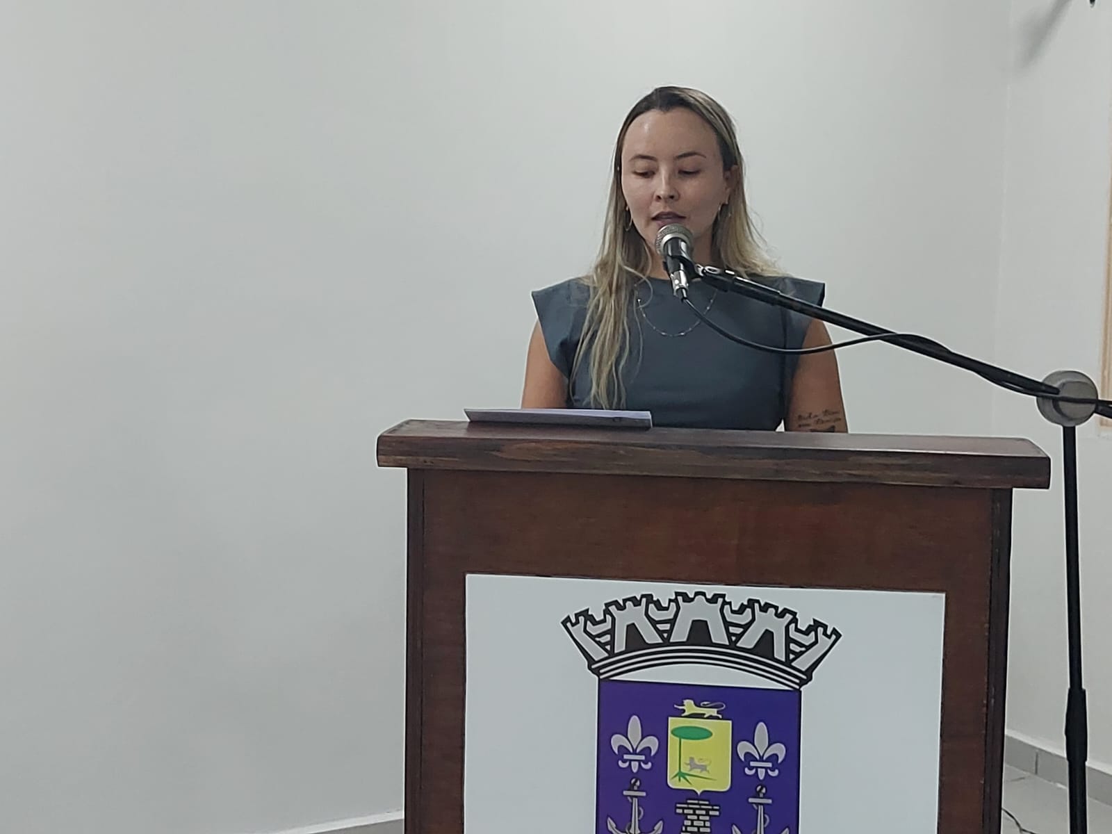 REQUERIMENTO DA VEREADORA ELIZAMA Nº 011/2025