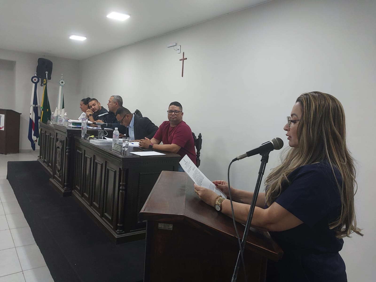 REQUERIMENTO Nº 012/2025 DA VEREADORA JOSIANE BRAGA